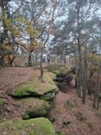 Wanderung Lindelbrunn Nov 2025